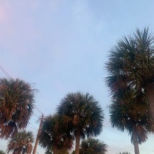 Meet your Posher, Jack Lynn